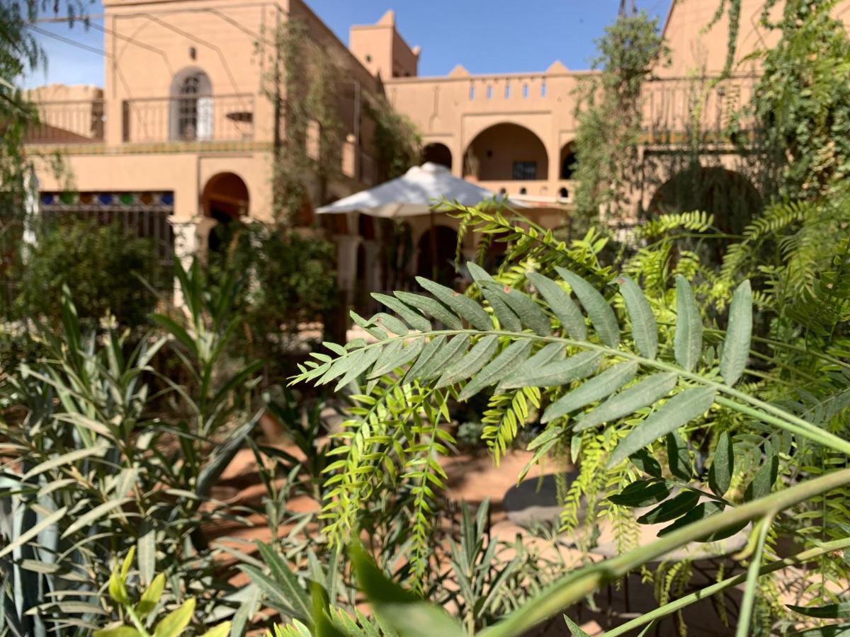 Riad Chant D'Etoiles Tadighoust El Hara Exterior photo